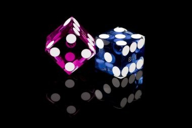 gametwist Bingo en Vivo